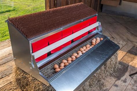 metal hen nesting boxes|build your own nesting box.